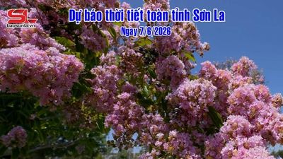 Dự báo thời tiết toàn tỉnh Sơn La ngày 7/6/2026