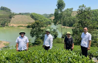 Xã Vô Tranh chuẩn bị chương trình trải nghiệm 'Dấu ấn xứ Trà'