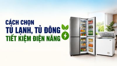 Cách chọn tủ lạnh, tủ đông tiết kiệm điện năng