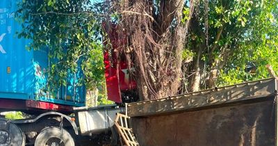 Thêm 2 nạn nhân tử vong trong vụ xe đầu kéo tông xe công nông