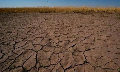 Liên hợp quốc kêu gọi sẵn sàng đối phó nắng nóng cực đoan do El Nino