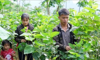 Thanh niên vùng cao học Bác vượt khó thoát nghèo