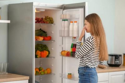 Tủ lạnh bốc mùi mỗi mùa hè: Nguyên nhân không chỉ nằm ở thức ăn để lâu