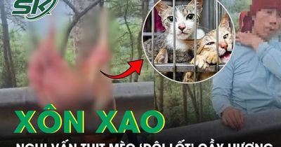 Xôn xao nghi vấn thịt mèo 'đội lốt' cầy hương, cơ quan chức năng vào cuộc