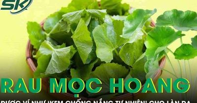 Loại rau mọc hoang đầy đường được ví như 'kem chống nắng tự nhiên' cho làn da
