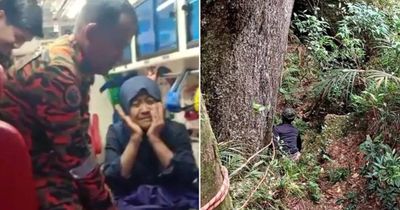 Malaysia: Nữ du khách bị lạc trong rừng suốt 13 ngày sống sót bằng cách nào?