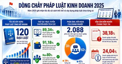 Xây dựng thể chế cho doanh nghiệp phát triển