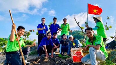 Trồng cây bàng vuông Trường Sa phủ xanh mũi Nghinh Phong, Vũng Tàu
