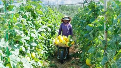 Từ người sản xuất trở thành chủ thể phát triển
