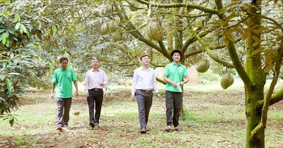 Nông dân bước vào kỷ nguyên số - Bài 1: Từ thửa ruộng đến không gian số