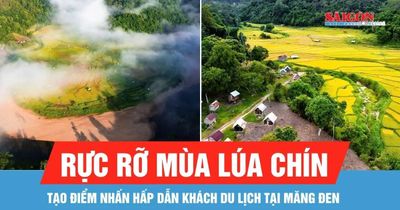 Măng Đen rực rỡ mùa lúa chín