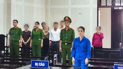Nữ nhân viên ngân hàng lừa đảo chiếm đoạt hơn 33 tỷ đồng