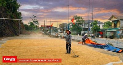 Cơn dông trên tóc mẹ và hạt lúa của đời người