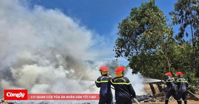 Cháy rừng phòng hộ ven biển ở Quảng Ngãi