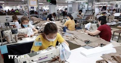 Phó Chủ tịch nước dự Lễ phát động phong trào thi đua Lao động giỏi