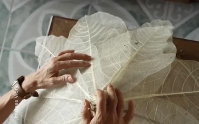 Khi xương lá hóa tác phẩm nghệ thuật độc bản