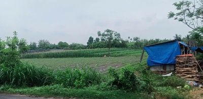 Tòa án nhân dân TP. Hồ Chí Minh sắp xử sơ thẩm vụ án giấy tờ đất đai suốt 3 năm 'không đăng bộ được'