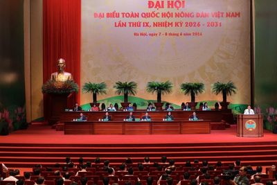 Phát huy vai trò nòng cốt của nông dân trong giai đoạn mới