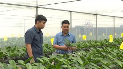 Xây dựng nền nông nghiệp hiện đại, thân thiện