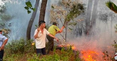 Hơn 20 ha rừng và thực bì bị cháy ở Huế, kiểm lâm căng mình ứng phó nắng nóng