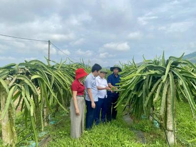 Nguyệt Ấn nỗ lực 'xóa trắng' sản phẩm OCOP