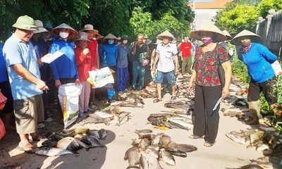 Chung ao cá, thắm tình làng