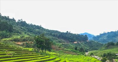 Gian nan đời ruộng bậc thang