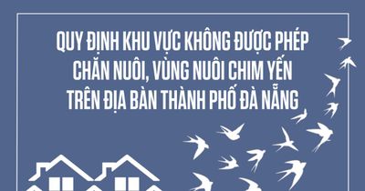 Quy định khu vực không được phép chăn nuôi, vùng nuôi chim yến trên địa bàn thành phố Đà Nẵng