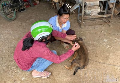 Một vai nhiều gánh