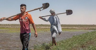 Phát triển nông nghiệp để giải cứu hành tinh