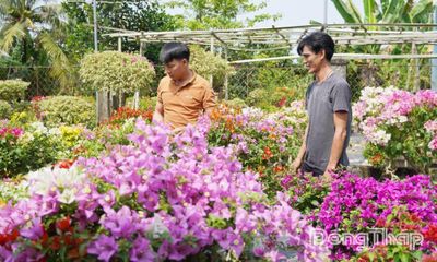 Tập trung phát triển khoa học, công nghệ, đổi mới sáng tạo và chuyển đổi số