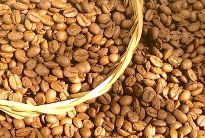 Ngày 7-6, cà phê giảm thêm 600 đồng/kg