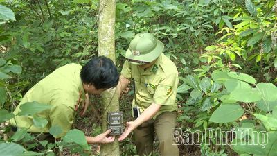 Nỗ lực bảo tồn đa dạng sinh học tại Vườn Quốc gia Tam Đảo