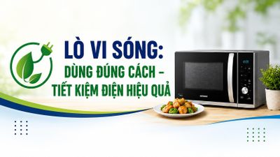 Lò vi sóng: Dùng đúng cách - Tiết kiệm điện hiệu quả