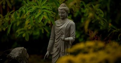 Thiền và chánh niệm có những mặt tối mà chúng ta ít khi nhắc đến