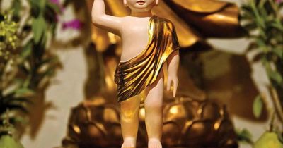 Từ hình tướng sơ sanh đến biểu tượng siêu việt, thanh tịnh của Đấng Giác ngộ, bậc Ly dục