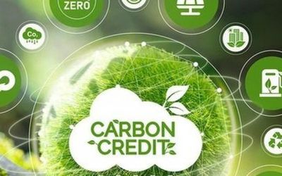 Thị trường carbon bước vào cuộc chơi mới: Chất lượng, đầu tư dài hạn và lợi ích xanh lên ngôi