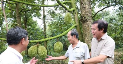 Đồng Tháp xây dựng, phát triển thương hiệu sản phẩm nông nghiệp chủ lực