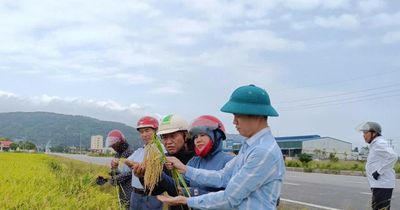 Sắp xếp thôn, tổ dân phố: Bài 4: Người vác tù và trong thời đại công nghệ số