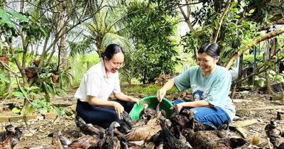 Vốn chính sách trên cao nguyên Chư Sê: Bài 1: Đánh thức khát vọng thoát nghèo