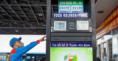 Petrovietnam thúc đẩy chuyển dịch xanh