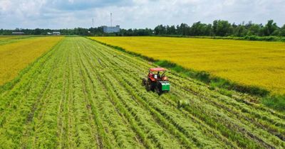 Muốn có thực phẩm an toàn, phải bắt đầu từ truy xuất nguồn gốc