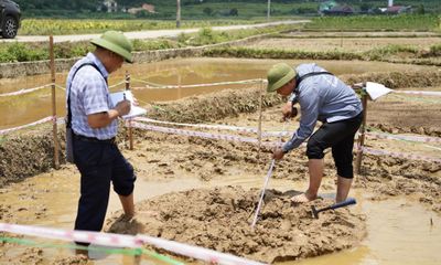 Khảo sát thực địa hố sụt Trường Hà - Làm rõ các yếu tố địa chất khu vực