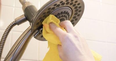 Vòi hoa sen bám đầy cặn trắng? Dùng thứ có sẵn trong bếp là sạch bong như mới