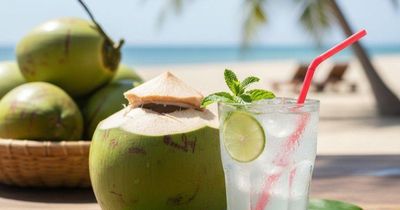 Uống nước dừa mỗi ngày có tốt không?