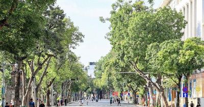 Bắc Bộ nắng nóng, độ ẩm không khí giảm thấp