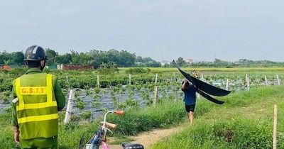7 chuyến bay bị ảnh hưởng do phi công phát hiện có diều tại Nội Bài