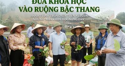 Đưa khoa học vào ruộng bậc thang, hành trình trồng sen trên núi của những 'nhà khoa học nông dân'
