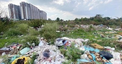Vi phạm bảo vệ môi trường sẽ bị đình chỉ hoạt động sản xuất, kinh doanh