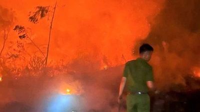 Nghệ An: Hàng trăm người xuyên đêm dập cháy rừng